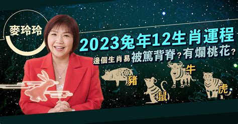 2023桃花位在洗手間|2023兔年風水佈局｜催桃花放「1物件」在西南方＋升 